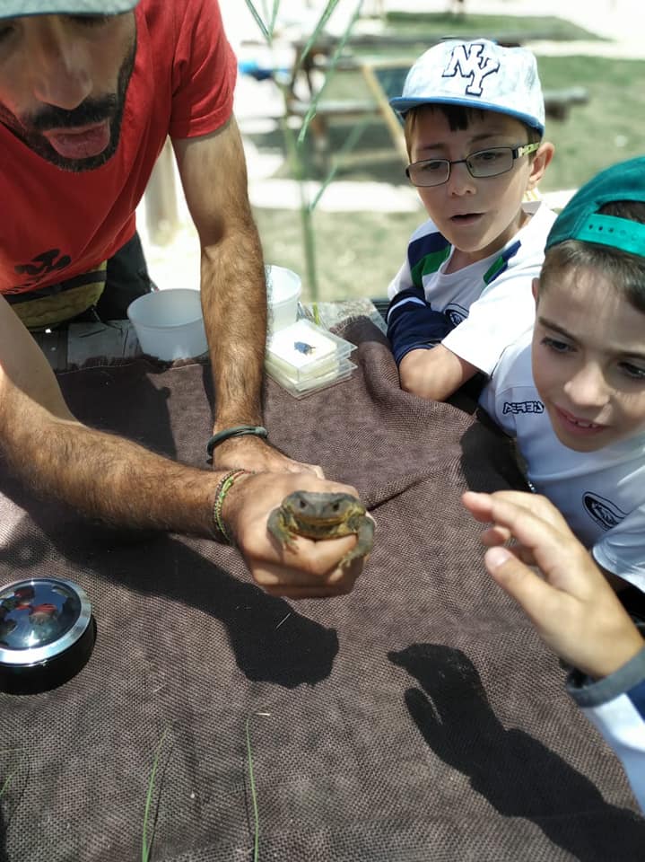 61897826_1325572367598165_4608306982972030976_n